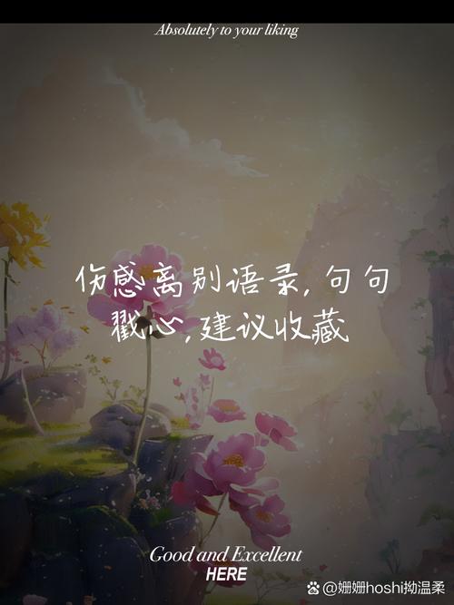 伤感情话大全经典语录_伤感情话短句_伤感情话